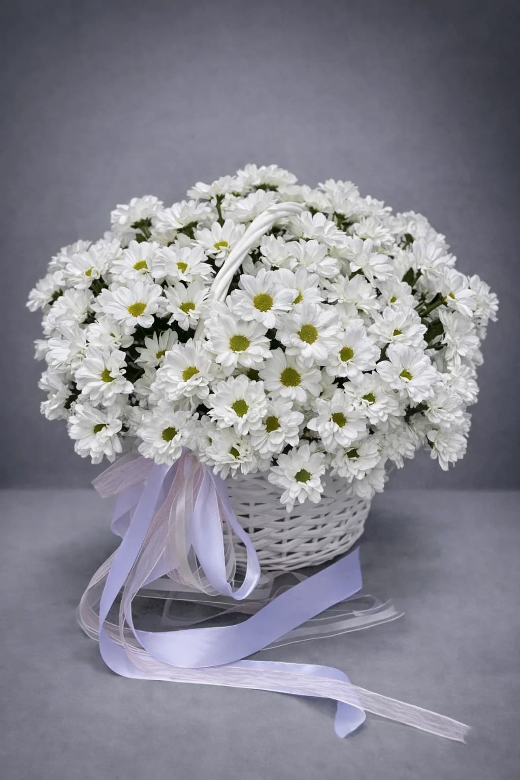 Ромашковое утро